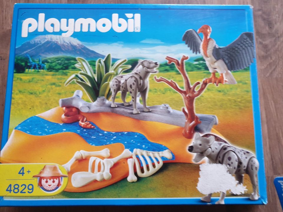 Playmobil Wildhüter 4833 4831 4829 4834 in Garrel