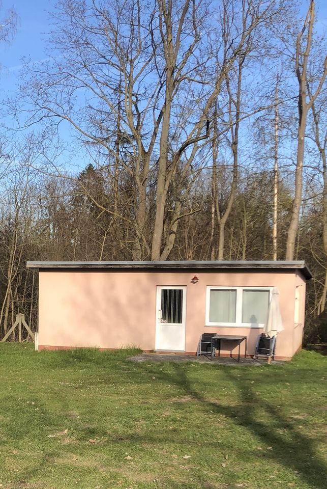 Ferienbungalow/ Ferienhaus/ Bungalow 5+1 Personen, Uckermark Hund in Prenzlau