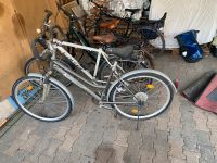 Damenrad Silber active bike Rheinland-Pfalz - Enkenbach-Alsenborn Vorschau