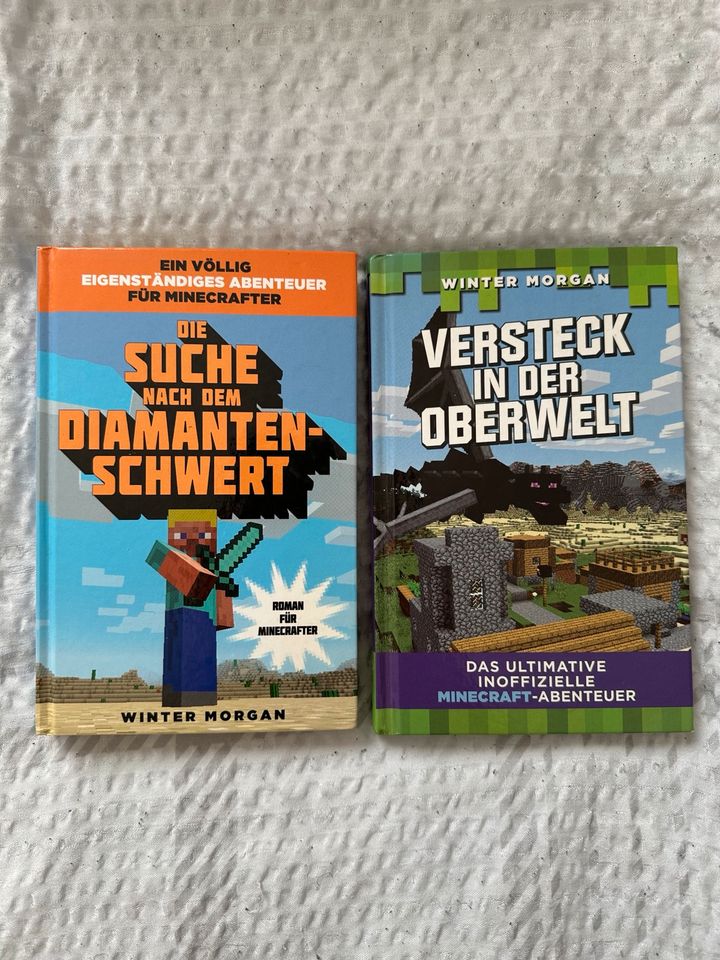 Minecraft Bücher in Hildesheim