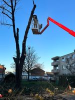 Baumfällung, Notdienst, Sturmschaden, Baumpflege, Baggerarbeiten Nordrhein-Westfalen - Düren Vorschau