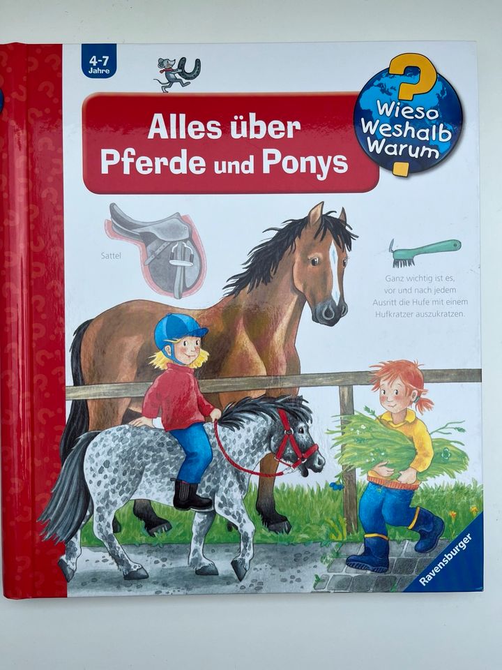 Ravensburger Wieso Weshalb Warum Bücher 4-7 Jahre je 8 € in Sachsenheim