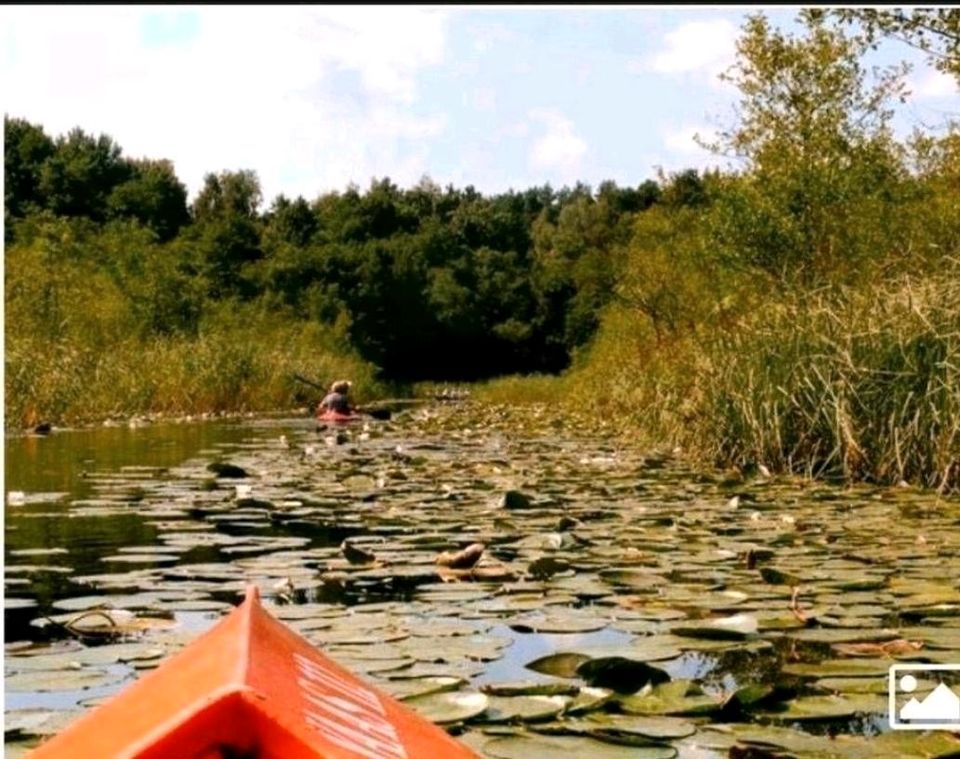 Wochenendgrundstück -Eigentum- ganz nah am Springsee in Berlin