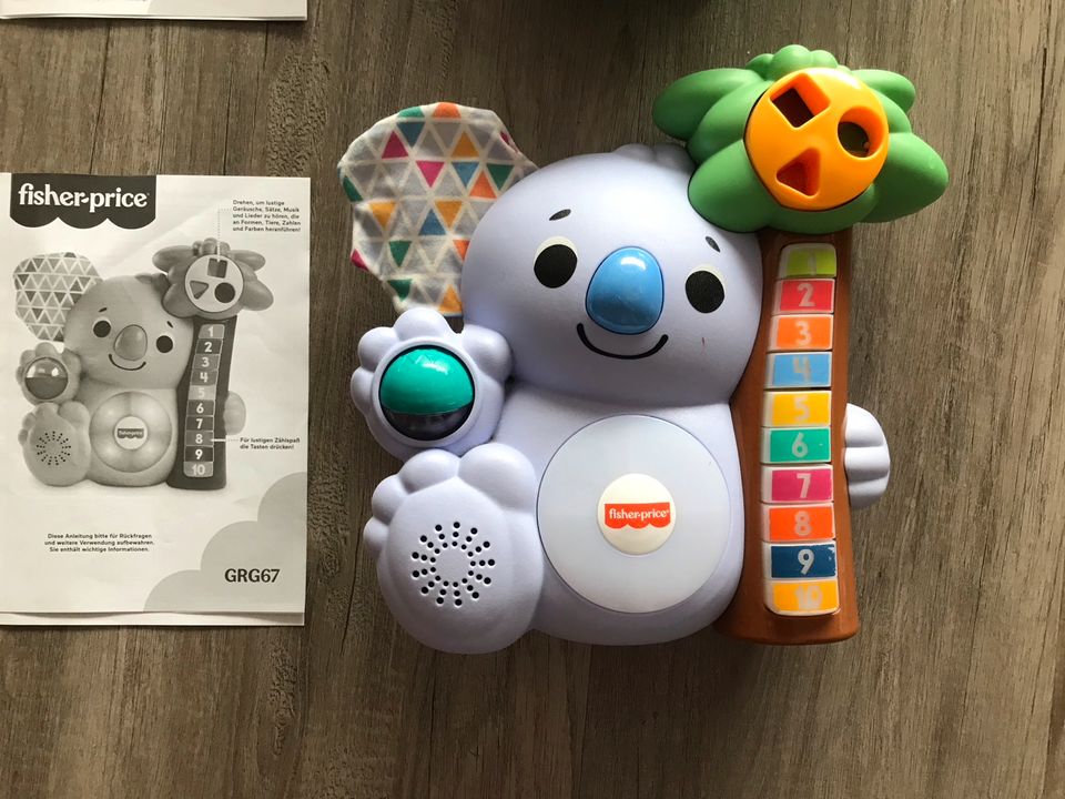 Blinkilinkis Fisher Price Panda Koala Lernspielzeug Musikalische in Essen