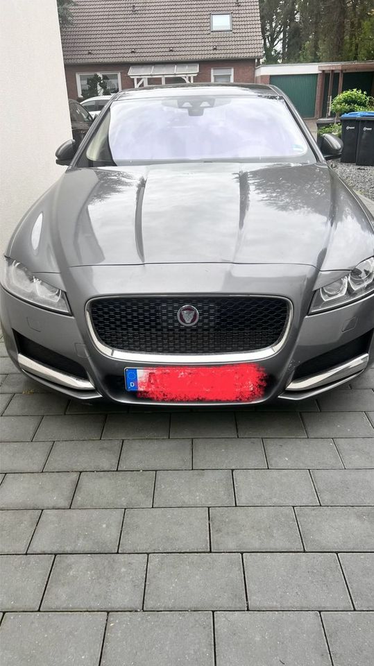                     Jaguar XF E-Performace 163PS Pure Automatik Pure