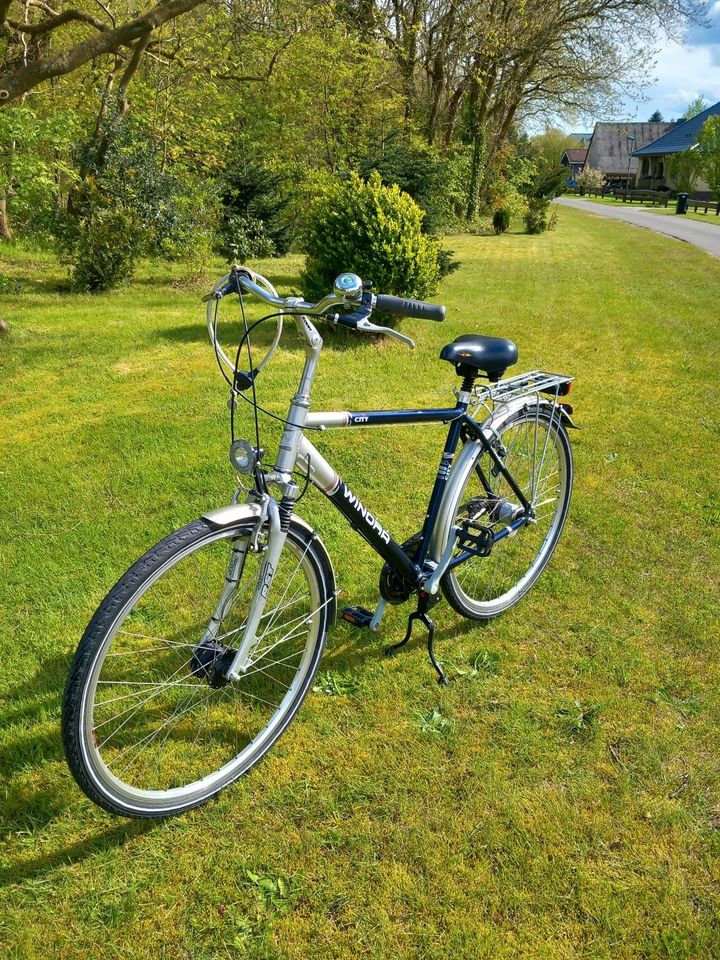 Herrenfahrad von Winora Markenfahrrad in Midlum