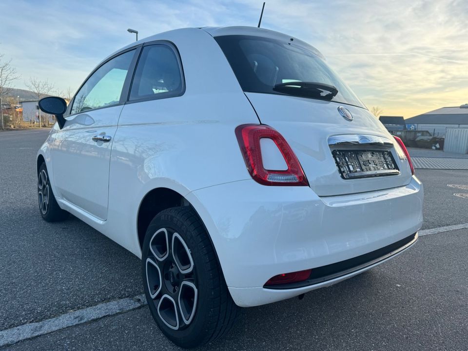 Fiat 500 Club in Waldshut-Tiengen