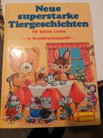 Märchenbuch Thüringen - Eisenberg Vorschau