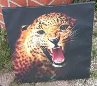 Kunst Leopardbild (hinterleuchtbar) 40cm × 40cm Niedersachsen - Sachsenhagen Vorschau