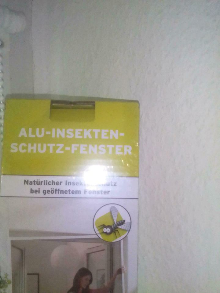 ALU - INSEKTEN SCHUTZ - FENSTER in Lauta