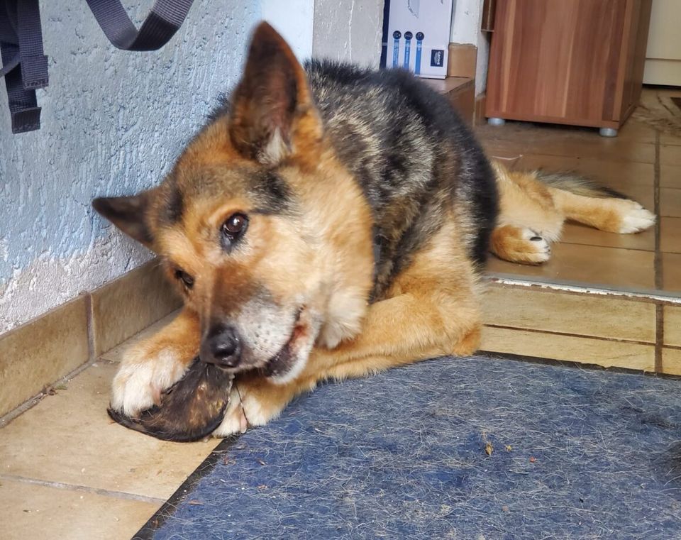 Lenchen sucht ihr Glück in Wallertheim