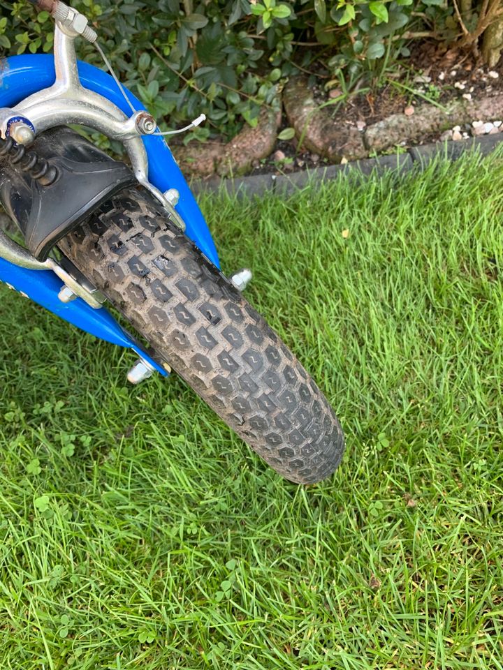 PUKY*ROLLER*GROSS*BLAU*LUFTBEREIFT*TOP*ZUSTAND* in Salzhausen