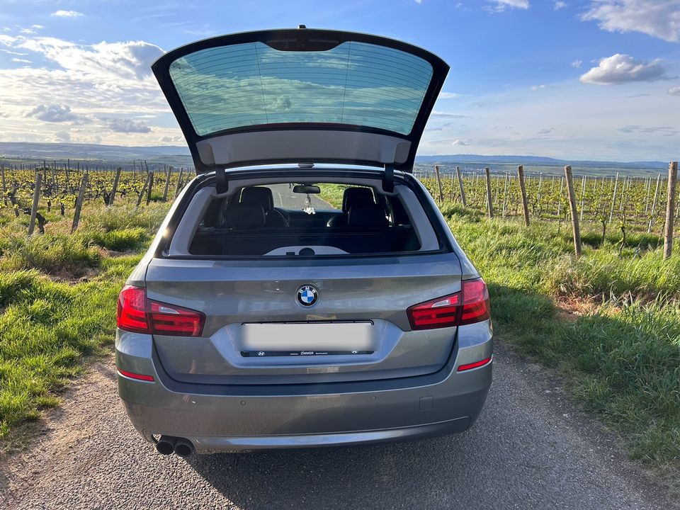 In perfektem Zustand  BMW 523 in Bad Münster-Ebernburg