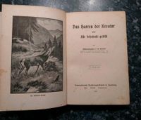 Buch aus 1917 Das Harren der Kreatur L.R.Conradi Sachsen-Anhalt - Naumburg (Saale) Vorschau