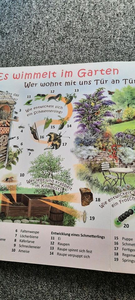 2Lehrreiche Natur u Tierbuch in Namborn