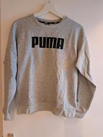 Puma Pullover (Gr.S) Kiel - Elmschenhagen-Kroog Vorschau