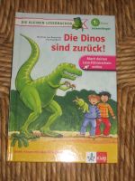 Die kleinen Lesedrachen - Die Dinos sind zurück Niedersachsen - Syke Vorschau