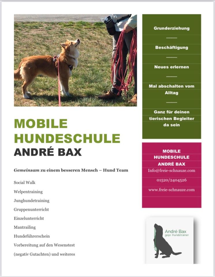 Hundeschule in Bersteland