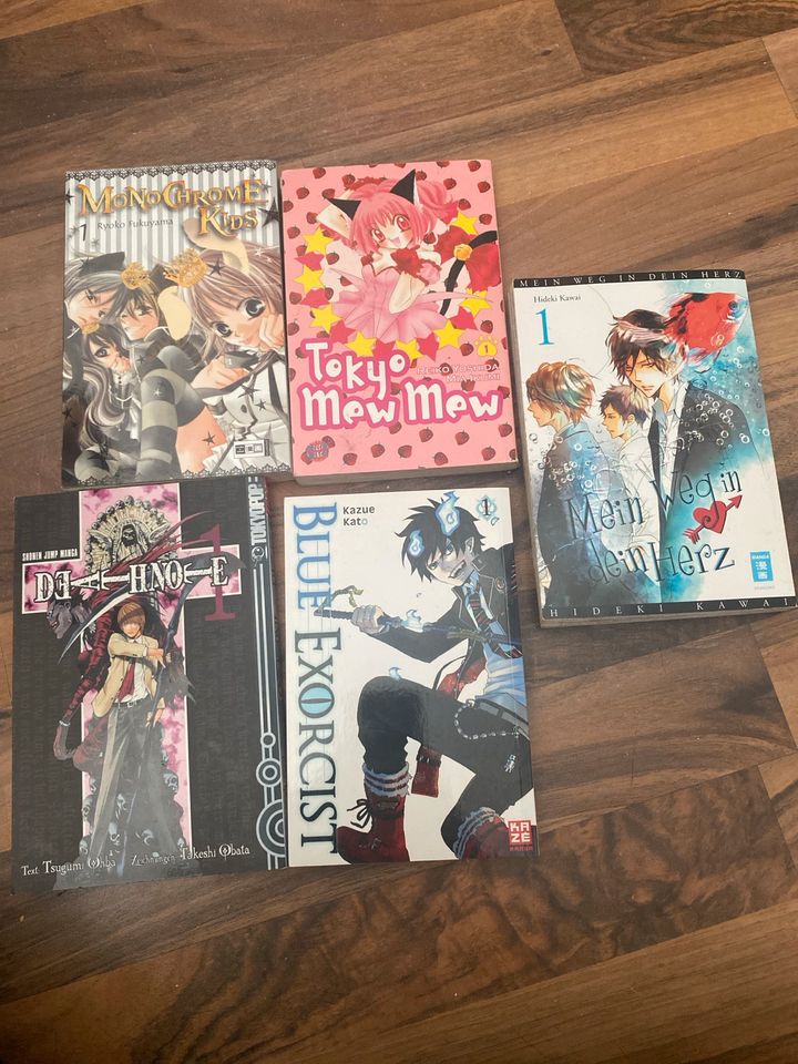 Manga Einzelstücke in Schermbeck