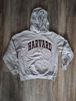 H&M Hoodie / Havard / XS Sachsen - Freital Vorschau