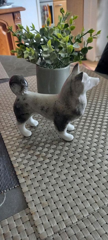 Hund Hundefigur Pozellan Sibirischer Laika Husky Porzellanfigur in Werl