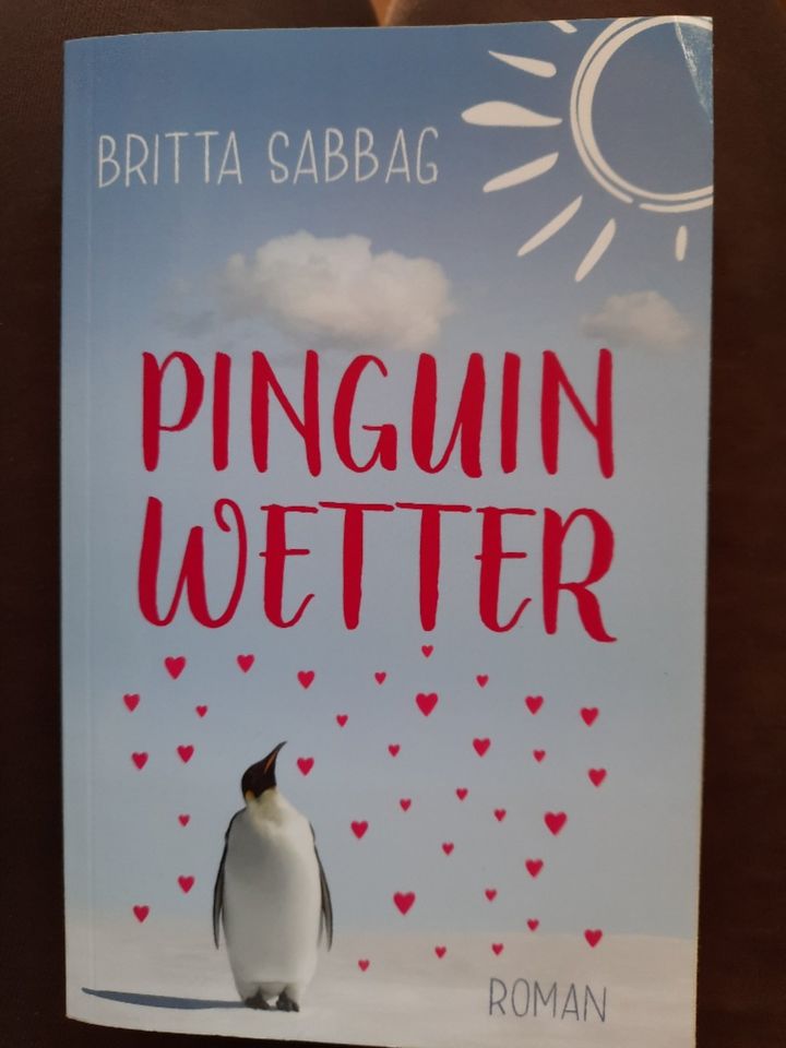Pinguin Wetter,  Roman von Britta Sabbag in Berlin