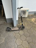 Roller Scooter Nordrhein-Westfalen - Leopoldshöhe Vorschau