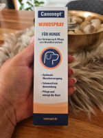 Wundspray für Hunde NEU Hessen - Aarbergen Vorschau