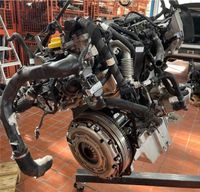 Motor Jeep Compass Renegade Fiat 500X Doblo 1.6 Multijet 55280444 Bielefeld - Senne Vorschau
