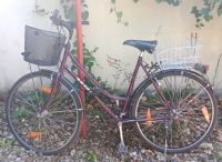 Damen Fahrrad 28 Zoll Niedersachsen - Hildesheim Vorschau