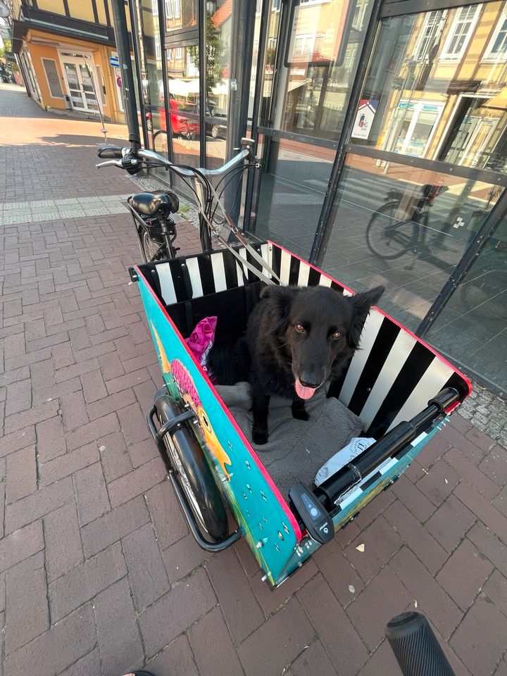 Lastenrad babboe big e-bike by.Mareike Scharmer in Lüchow