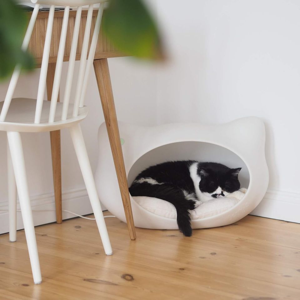 Jerry’s Design Katzenhöhle Katzenbett Katzenkorb mit Kissen weiß in Willich