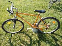 Scott Mountainbike 24 Zoll Bayern - Dietmannsried Vorschau