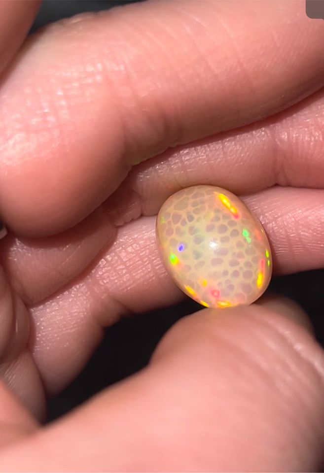 Wunderschöner Welo opal mit Honeycomb muster in Norderstedt