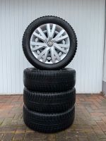 4x Bridgestone 205/55 R16 91H Blizzak LM001 Winterreifen VW Bayern - Ammerthal Vorschau