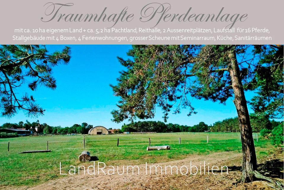 Pferdeanlage - Pferdehof - Reitanlage, 4 FW, 10 ha Land + ca. 5,2 ha Pachtland (bis 31.7.26), Reithalle 20 x 60 m, 2 Aussenreitplätzen (60 x 30 & 30 x 30), Laufstall 16 Pferde+4 Boxen, grosser Scheune in Dreetz