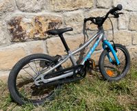 PULY LS-PRO 16 Kinderfahrrad Mountainbike Fahrrad Dresden - Innere Neustadt Vorschau