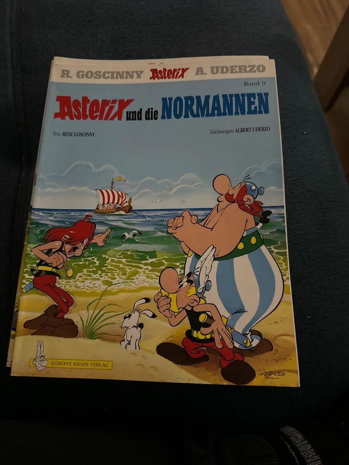 Asterix  und Obelix in Langfurth