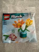 LEGO Friends//Lego Polybag Sachsen - Zschopau Vorschau