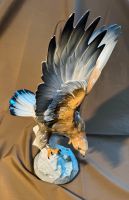 Porzellanfigur Greifvogel von Hutschenreuther Nordrhein-Westfalen - Mülheim (Ruhr) Vorschau
