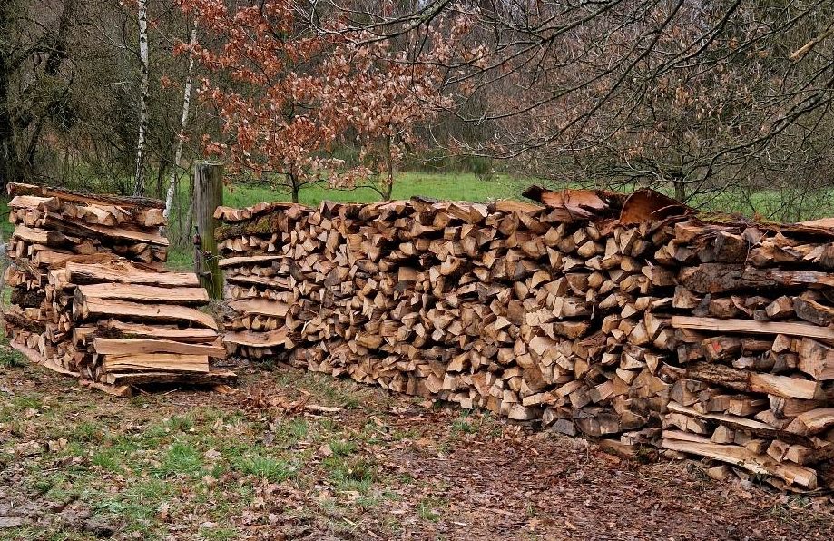 Brennholz/Feuerholz/Holz in Lahntal