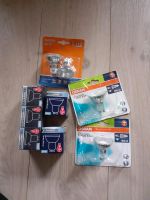 Halogen 9 Stück 40 w 220 - 240 V Osram verschiedene Licht ovp Neu Schleswig-Holstein - Eggebek Vorschau