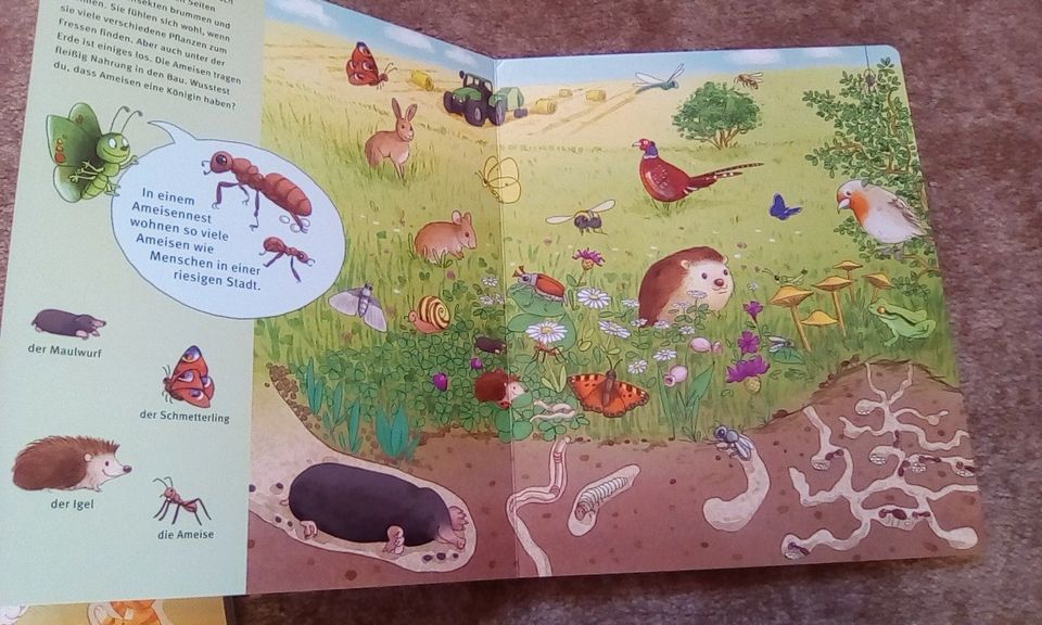 Bilderbuch Wimmelbuch Tierkinder Wald Bauernhof Sticker neu in Bad Segeberg