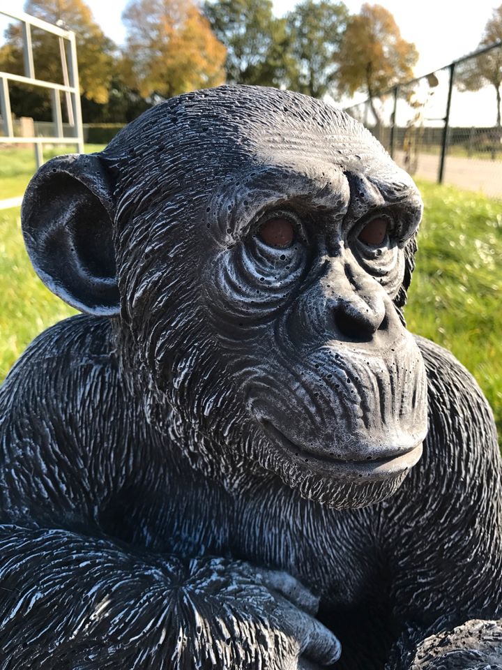 ‼️Schimpanse 52cm Chita Bonobo Steinguss Affe Affen Menschenaffe in Schönefeld