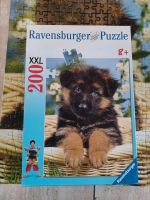 Puzzle Ravensburger Xxl Puzzel Hund Welpe ab 8 Jahre Top Zustand Niedersachsen - Goldenstedt Vorschau