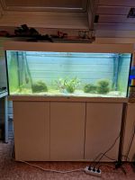 Aquarium Juwel 240 Liter Rheinland-Pfalz - Singhofen Vorschau