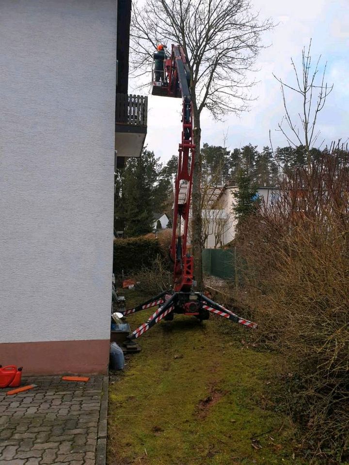 Baumfällungen/ Grünanlagenpflege in Schweinfurt