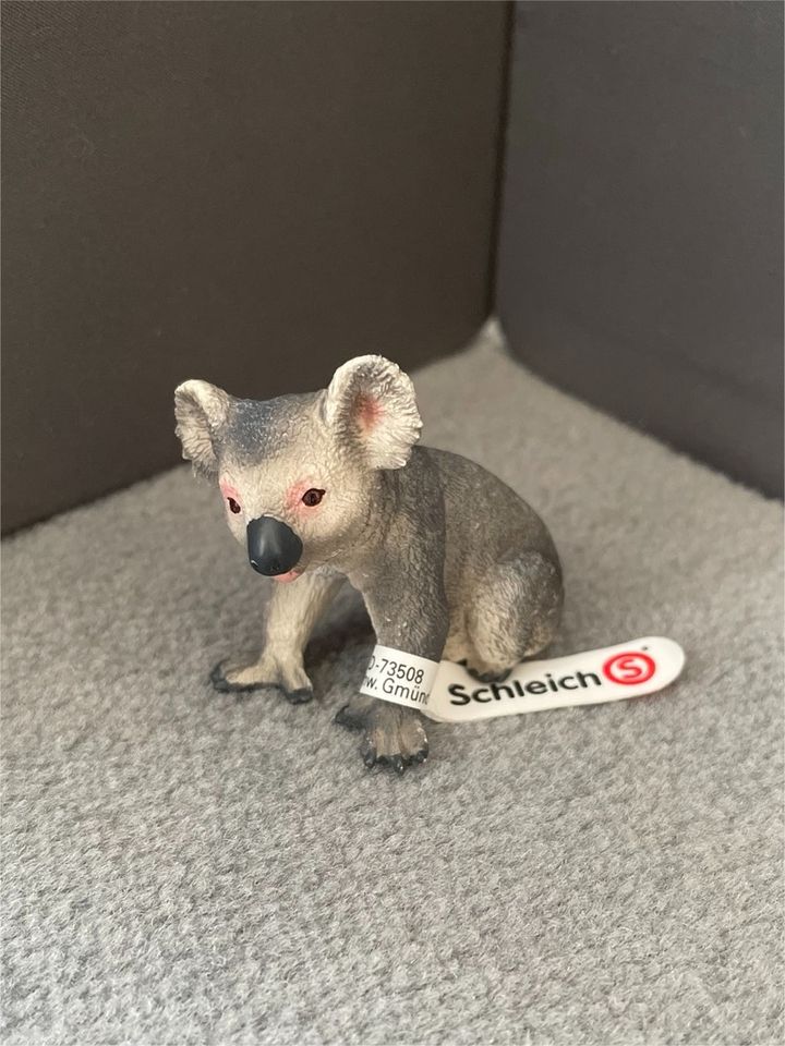 Schleich Koala in Aichwald