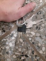 Schlüssel gefunden Sachsen-Anhalt - Magdeburg Vorschau