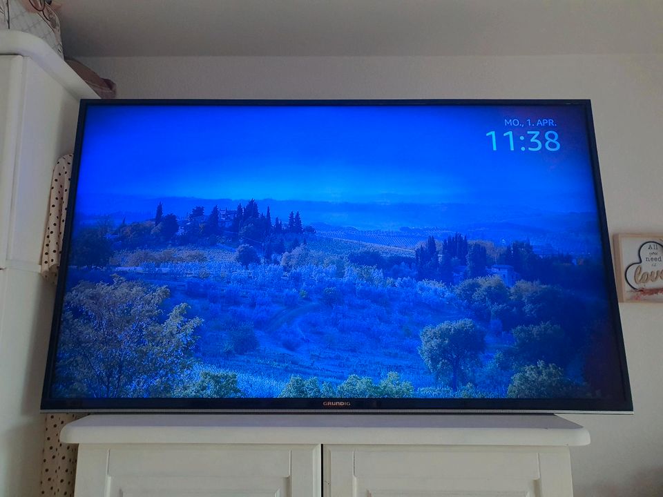 Grundig Smart TV 49 Zoll mit Manko in Kempen